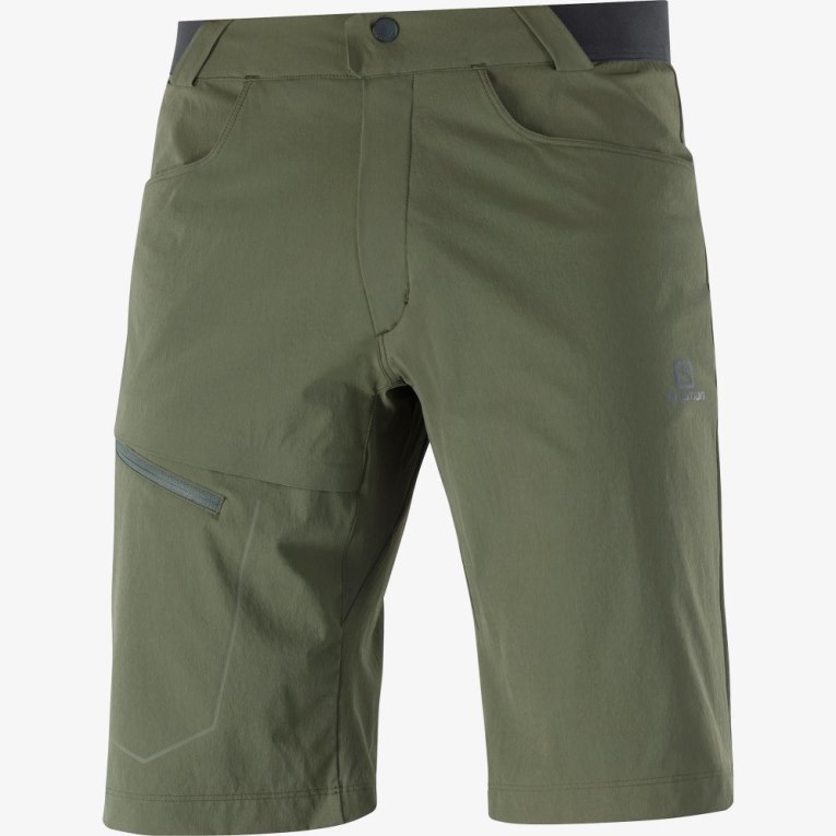 Olive Salomon Wayfarer Men's Shorts | IE ZY6251